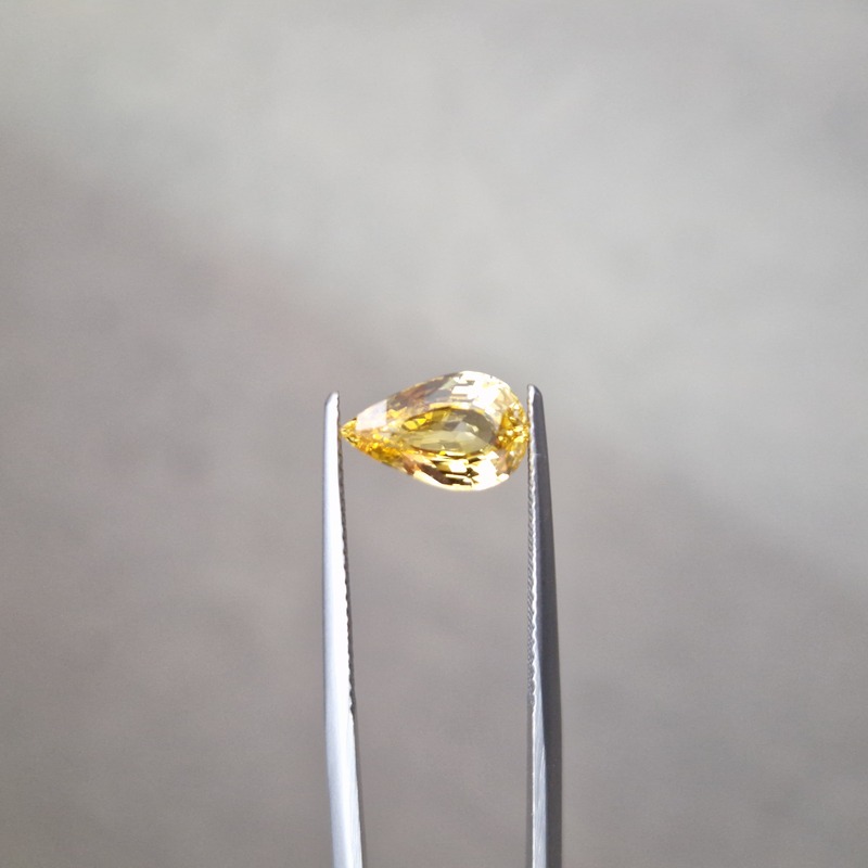Van Amstel Gem - SF2716/OA5