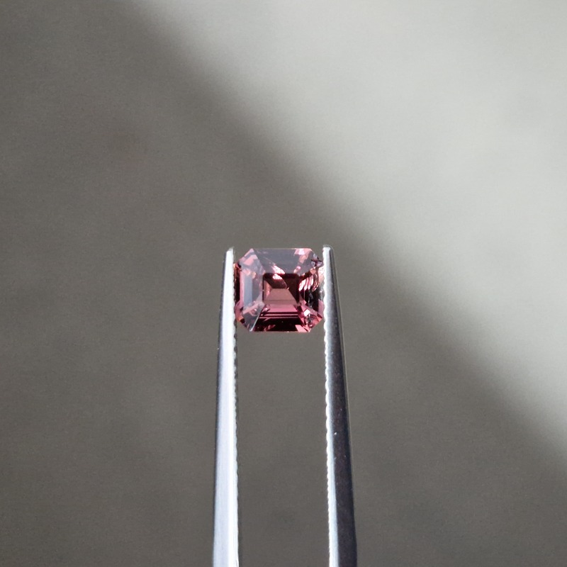 Van Amstel Gem - SF2891/NEA