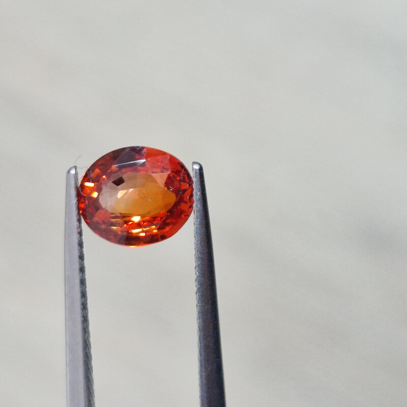 Van Amstel Gem - SF2904/ONE